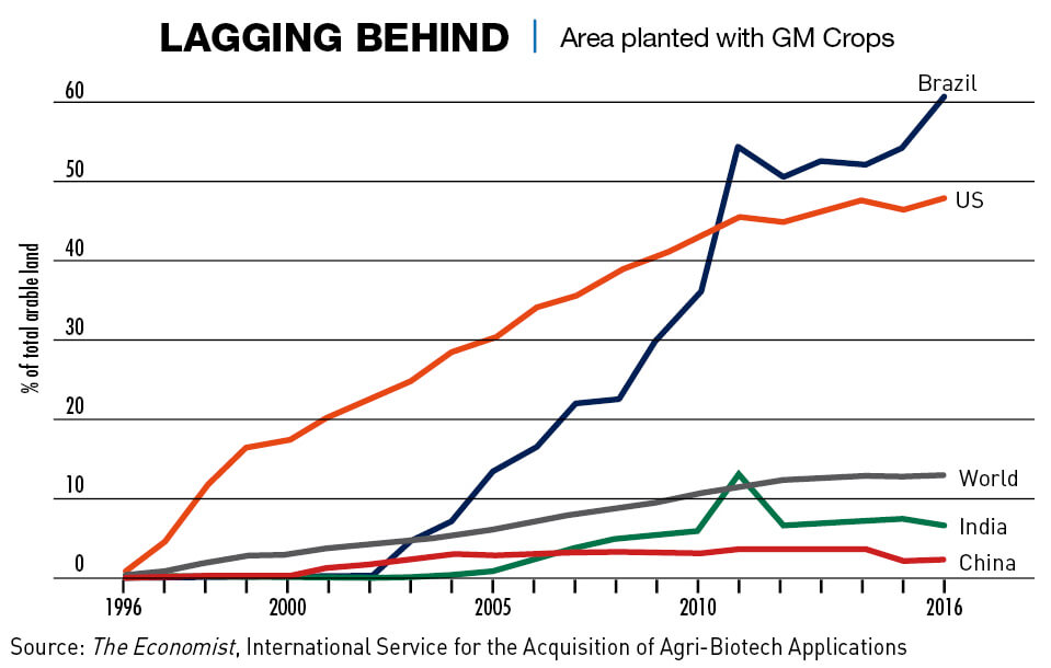 China lags behind the rest of the world in planting GMO crops