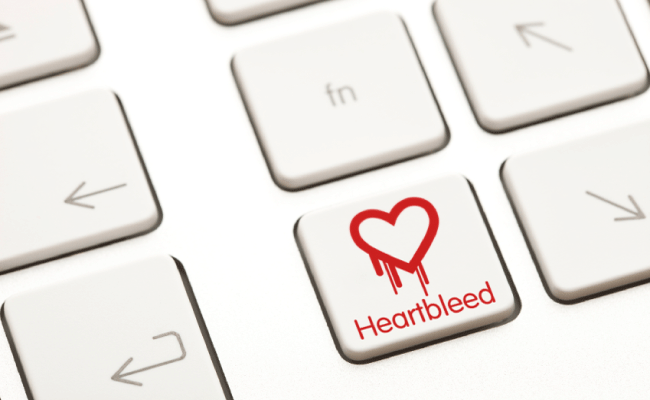 Heartbleed Computer Bug