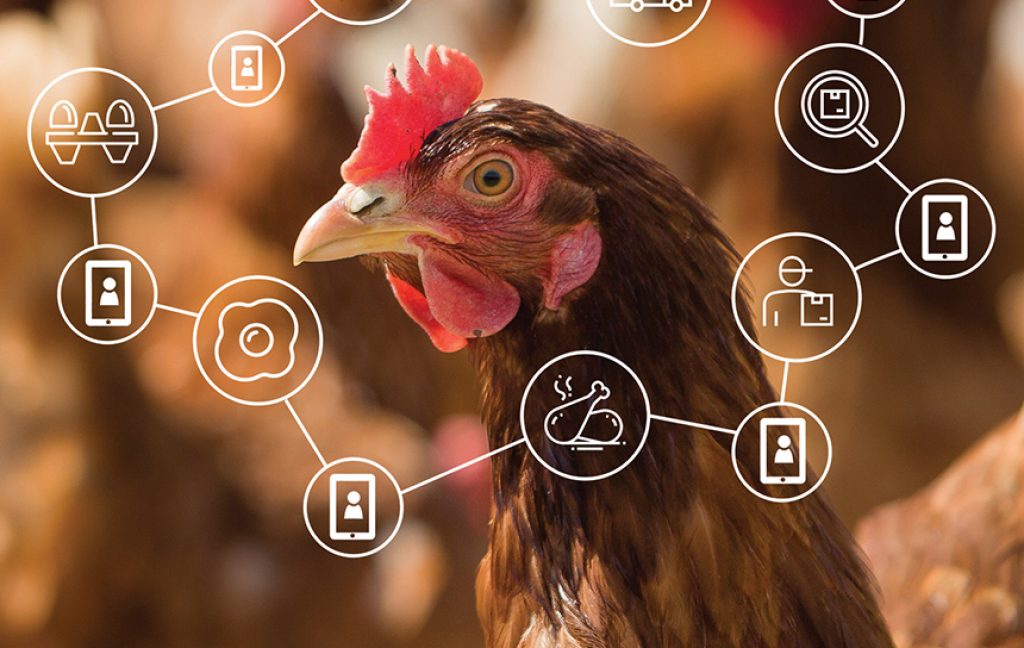 Can blockchain technology fix China’s food safety problem?