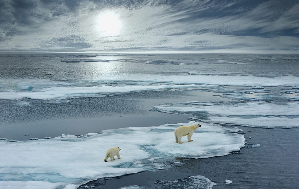 Climate Change and Fake News
