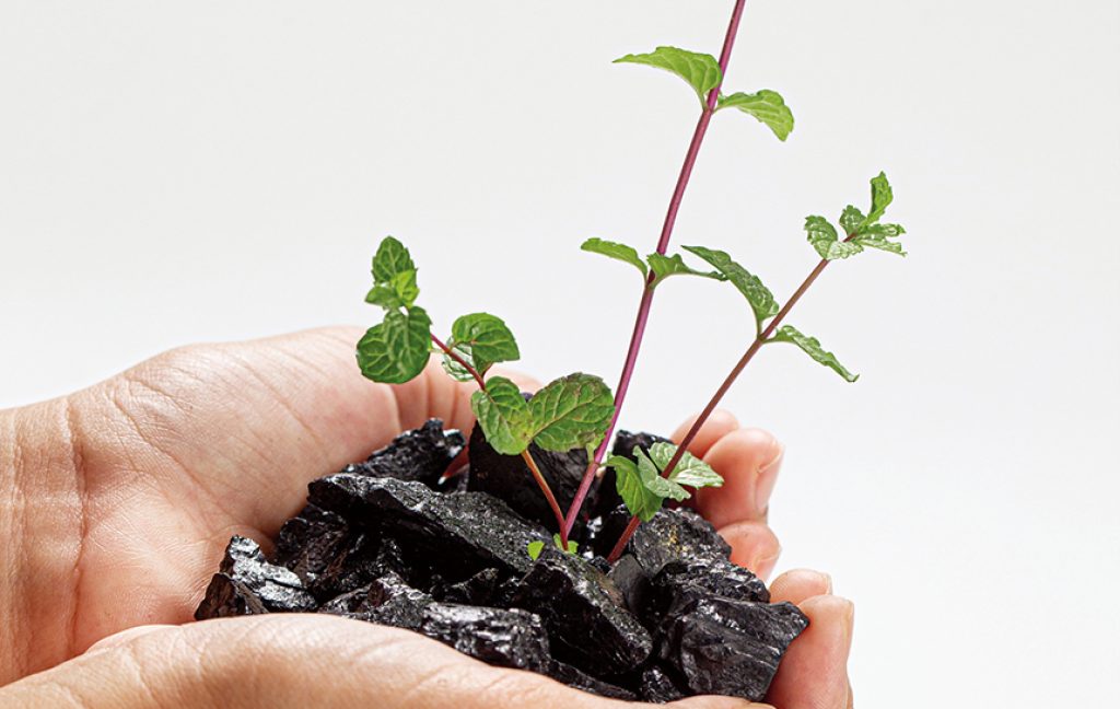 Green Shoots?
