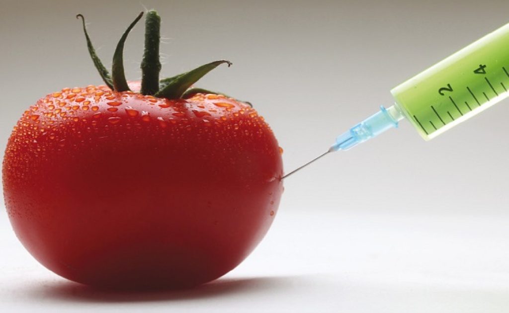 Genetically Modified Food: A Clockwork Tomato
