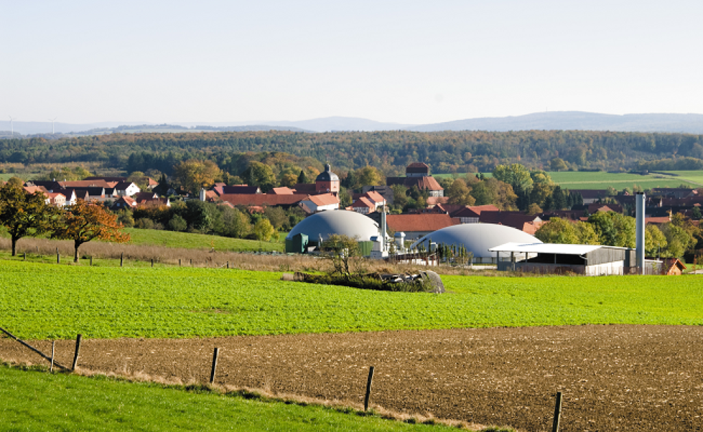 Bioenergy in China: Can China Learn from Germany’s Experience?