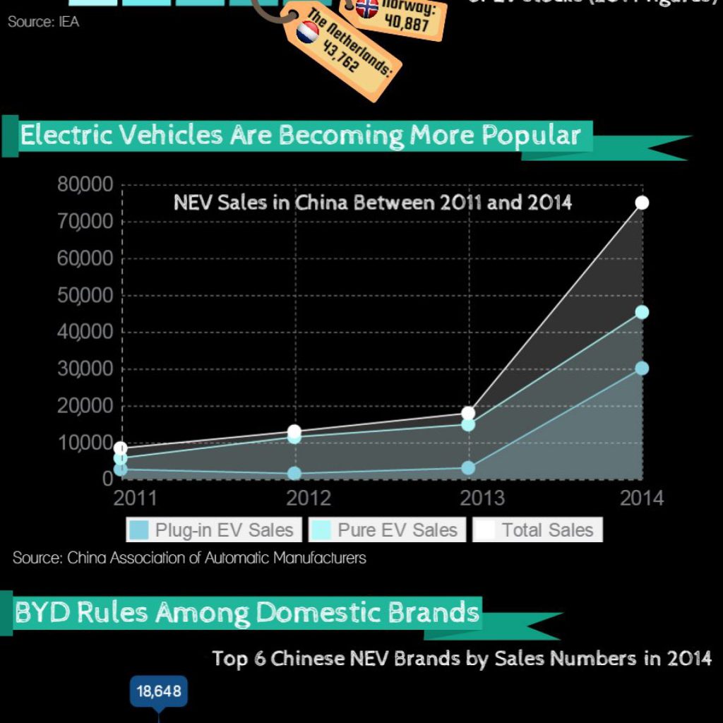 Is the Chinese Electric Car Market Revving Up?