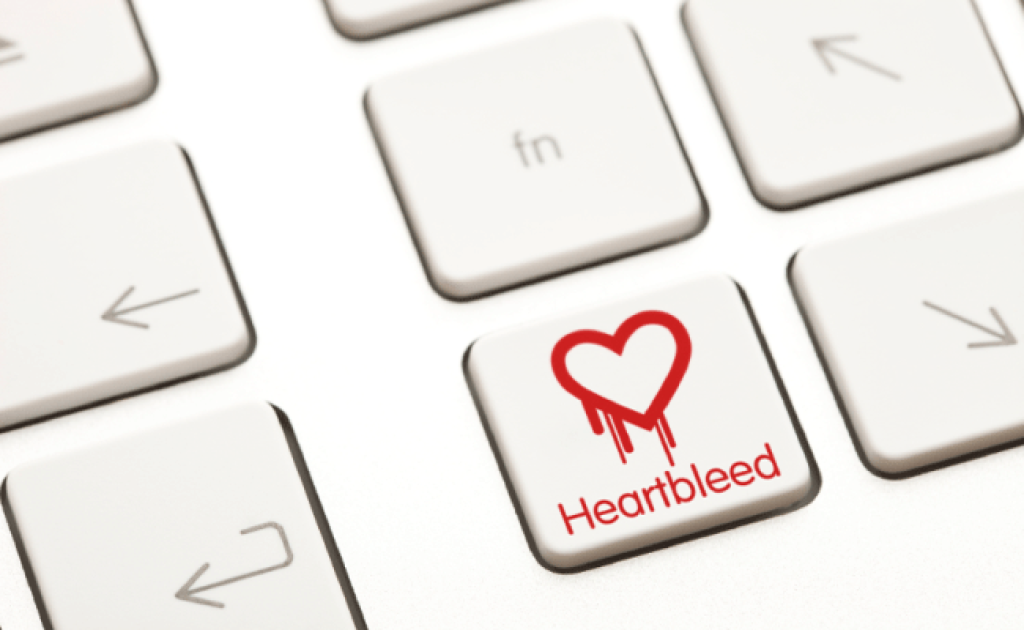 Cyber vulnerability: Is a digital disaster the next big thing?