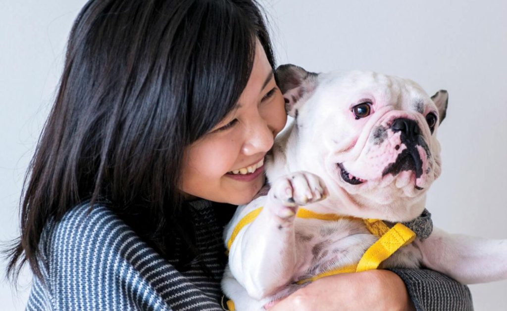 The Power of Pets