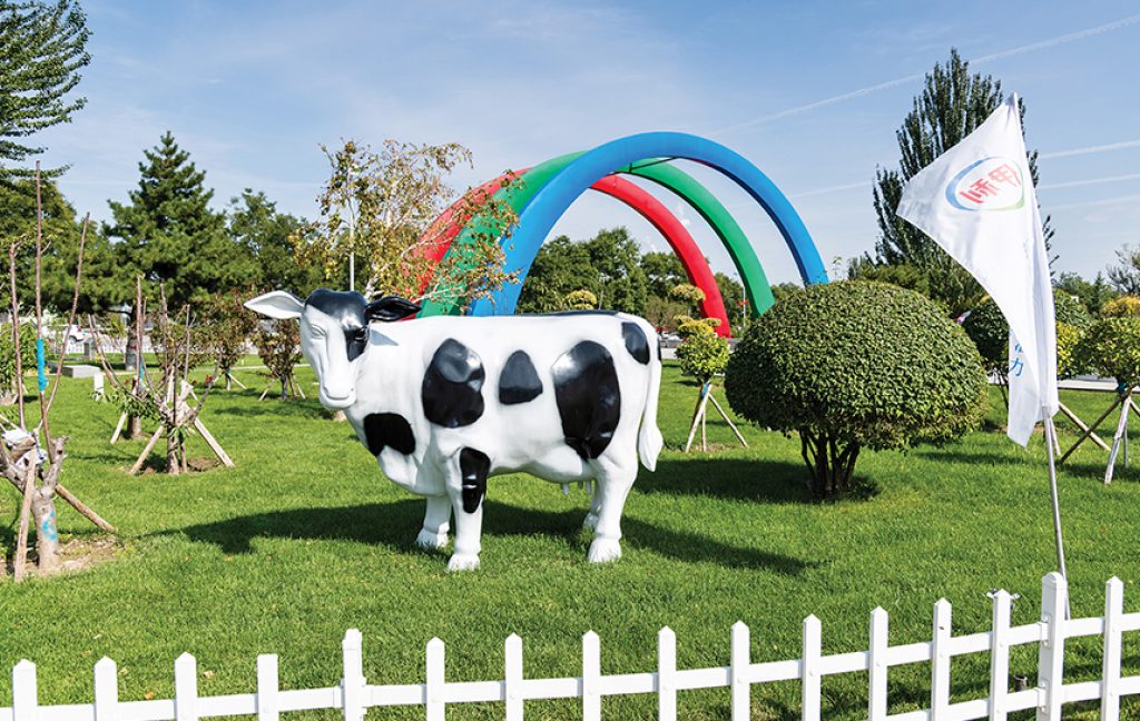 Case study: Dairy to Dream