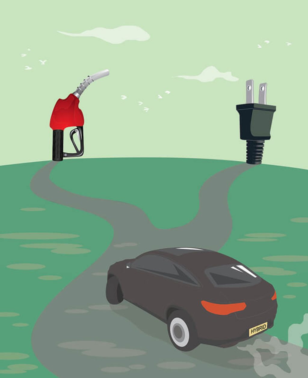 New Cars in a New Economy: China’s Two Speed Car Market