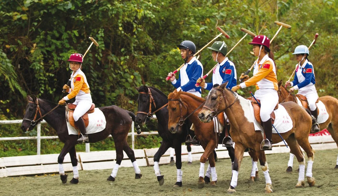Polo
