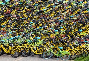 Photo of bike sharing company bikes parked and not being ridden