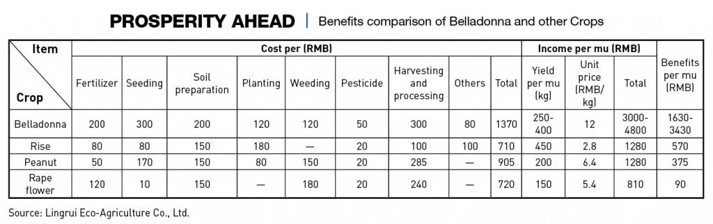 Chart: Benefit comparison of Belladonna and other crops
