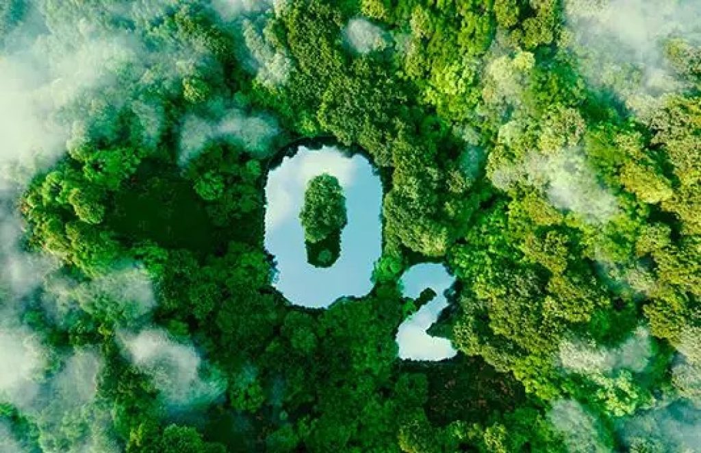 The Future of Green Finance and Impact Investment
