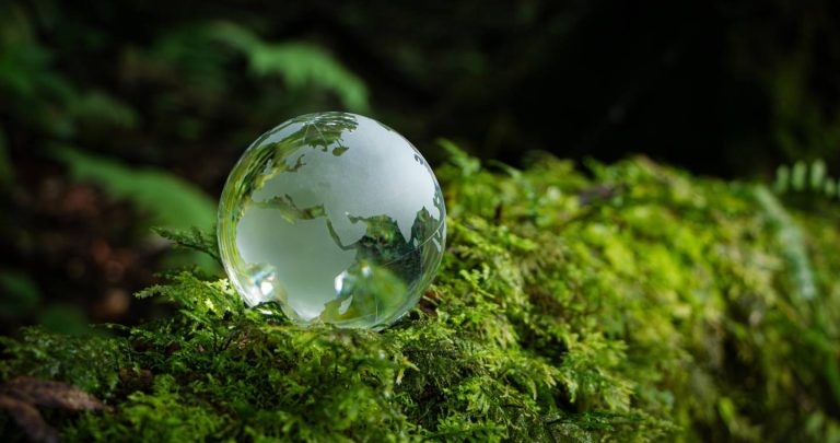 CKGSB 2024 ESG and Social Innovation Report