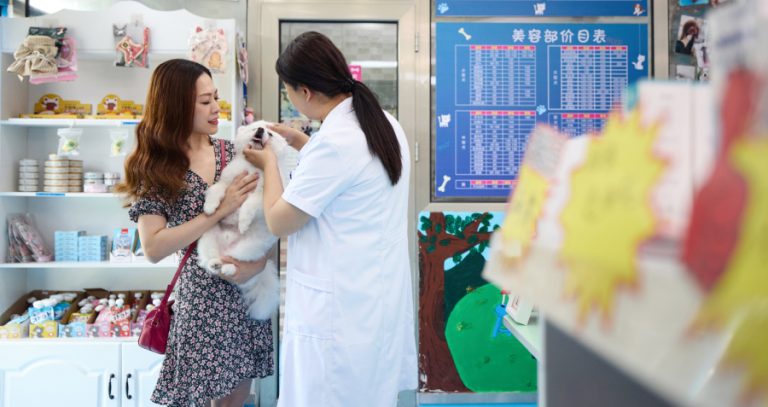 China’s Pet Market Growth and Trends - CKGSB