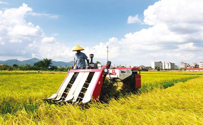 Farming in China today. Machines are common, but much is still done manually.