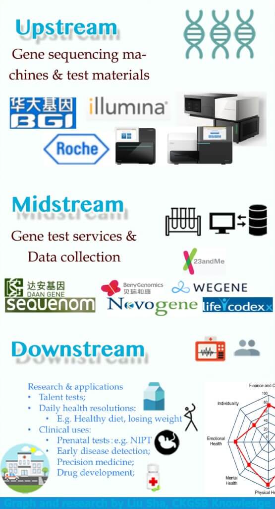 Gene graph