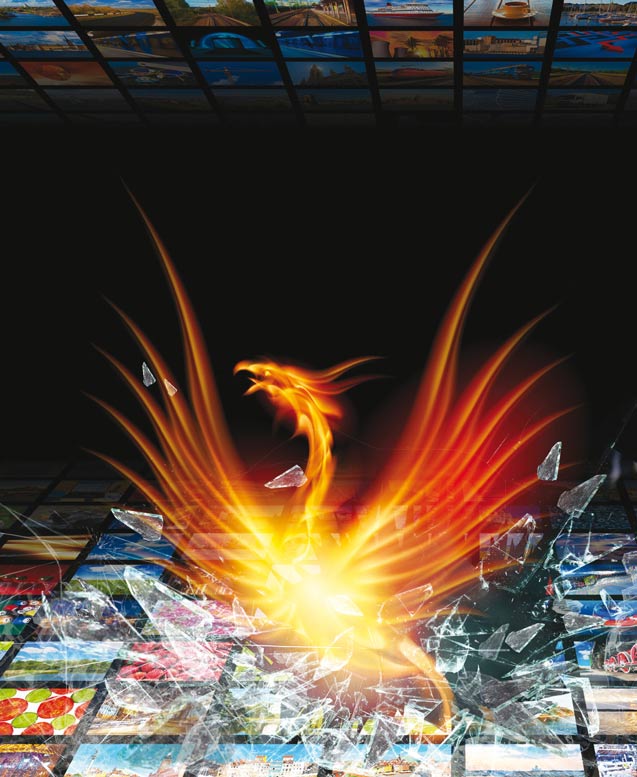 Phoenix-Rising-in-Media