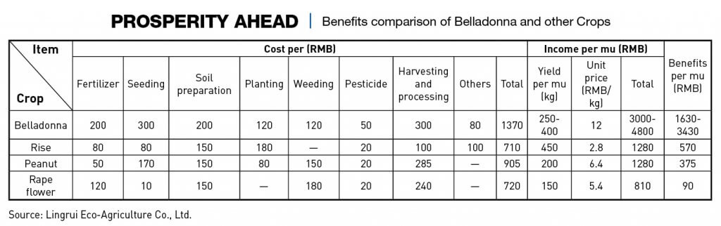 Chart: Benefit comparison of Belladonna and other crops