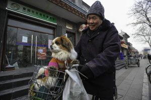 Photo of a Chinese pet owner with his dog