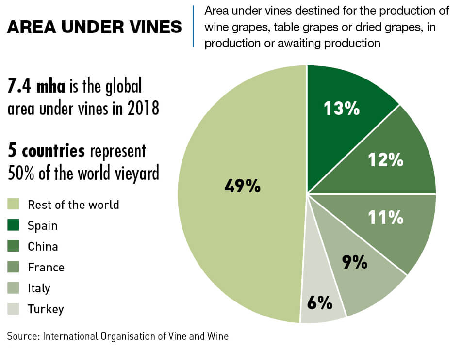 Chart: Area under vines around the world