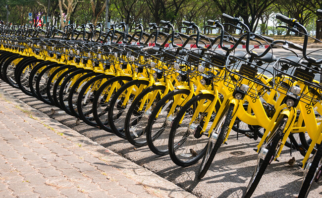 Stanford bike share online