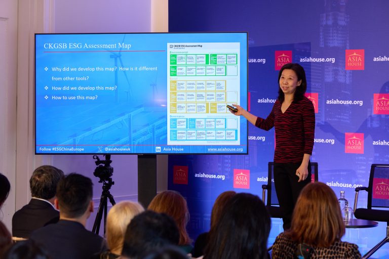 ZHU Rui, Professor of Marketing, Director of Research Department on ESG and Social Innovation at CKGSB