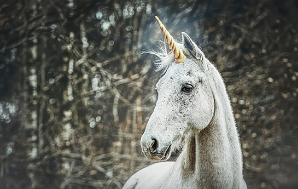 The geopolitics of the entrepreneurial zoo